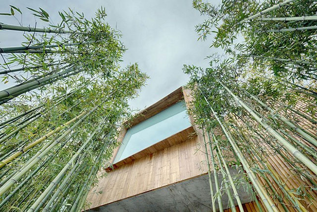 溫泉酒店規(guī)劃設(shè)計(jì)