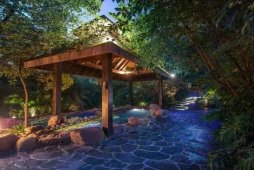 溫泉市場動態(tài) 溫泉綜合體設計類型、產(chǎn)品創(chuàng)新及發(fā)展方向